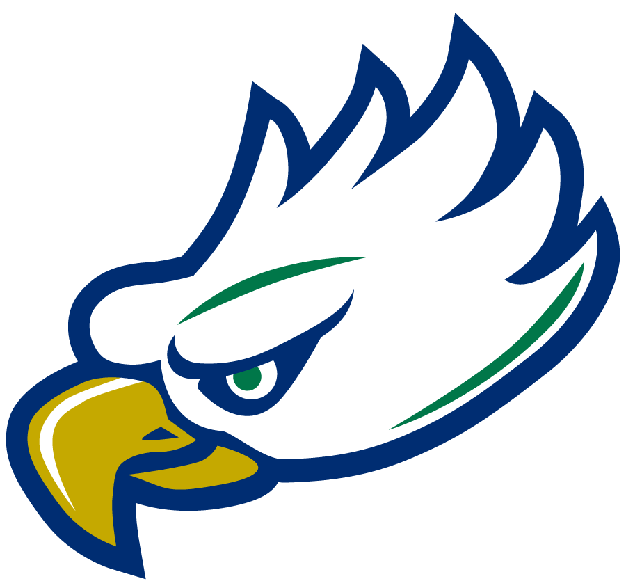 Florida Gulf Coast Eagles 2022-Pres Secondary Logo diy iron on heat transfer